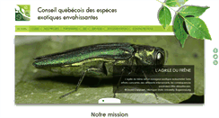 Desktop Screenshot of cqeee.org